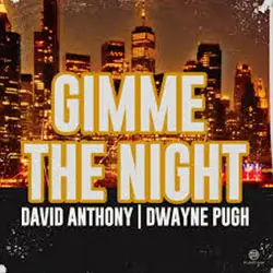 Gimme the night